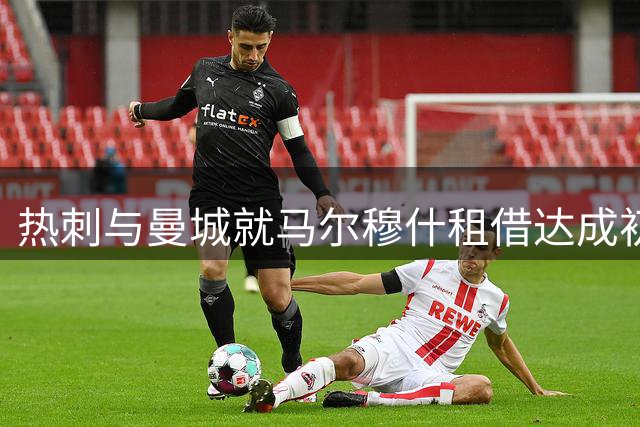 热刺与曼城就马尔穆什租借达成初步协议