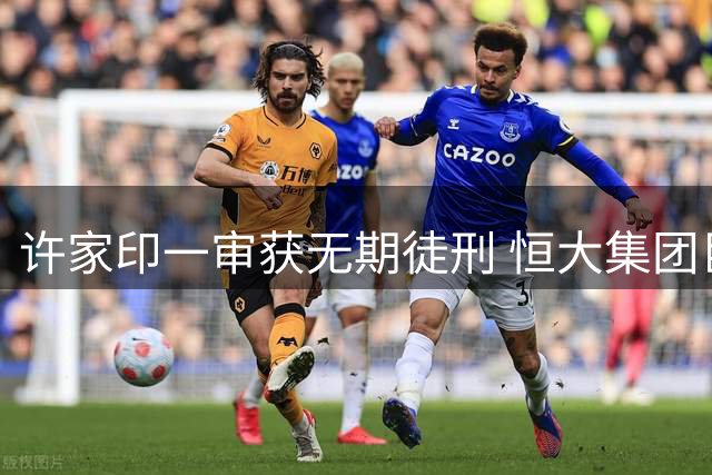 许家印一审获无期徒刑 恒大集团巨额罚金曝光